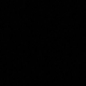 Meet your Posher, Isabella